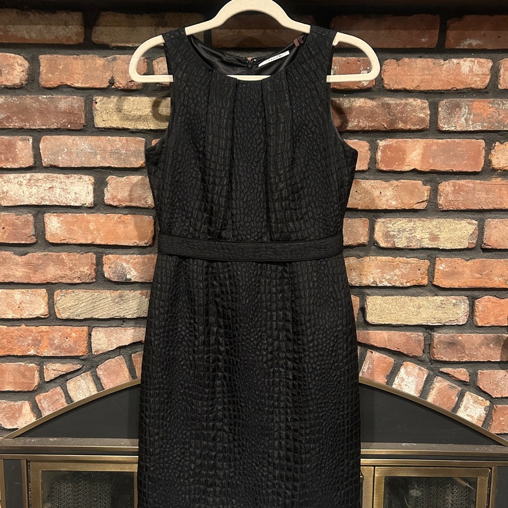 Chic & Elegant Tahari Dress